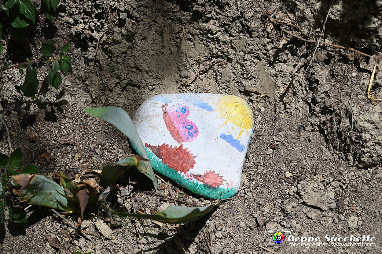 VBS_3047 - Mango (Cuneo) - Gnomovia.jpg